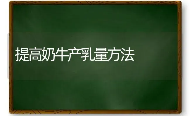 提高奶牛产乳量方法 | 养殖技术大全