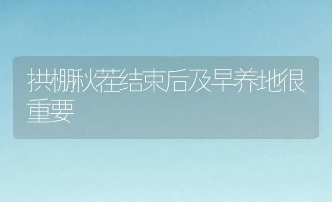 拱棚秋茬结束后及早养地很重要 | 养殖知识