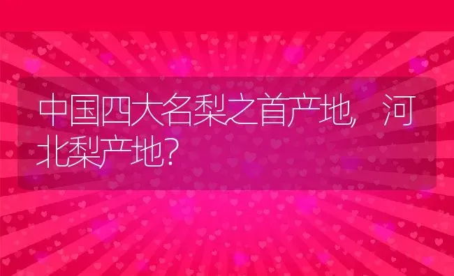 中国四大名梨之首产地,河北梨产地？ | 养殖科普