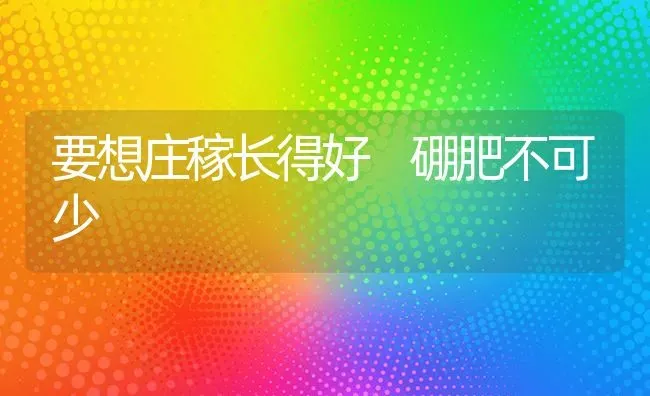 要想庄稼长得好　硼肥不可少 | 养殖知识