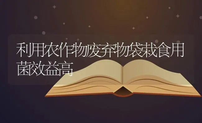 利用农作物废弃物袋栽食用菌效益高 | 养殖知识