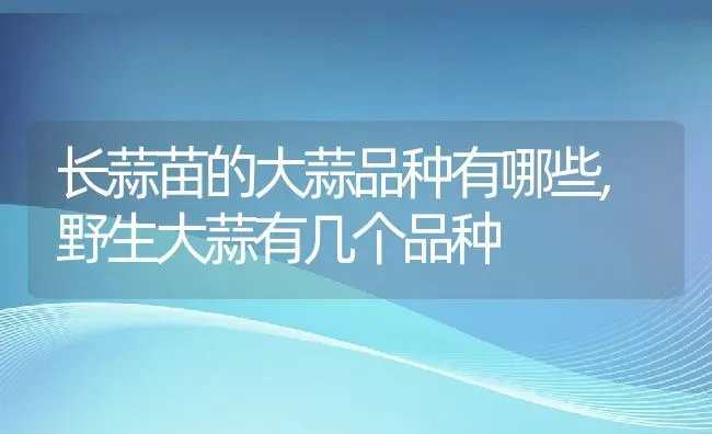 长蒜苗的大蒜品种有哪些,野生大蒜有几个品种 | 养殖学堂