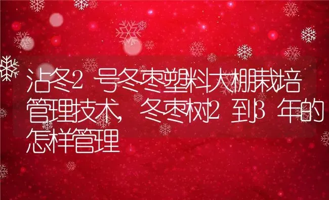 沾冬2号冬枣塑料大棚栽培管理技术,冬枣树2到3年的怎样管理 | 养殖学堂