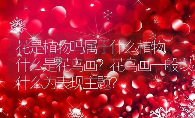 花是植物吗属于什么植物,什么是花鸟画？花鸟画一般以什么为表现主题？ | 养殖科普