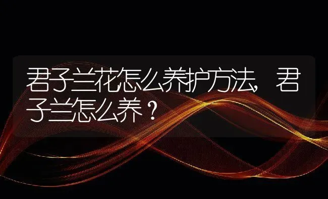 君子兰花怎么养护方法,君子兰怎么养？ | 养殖科普