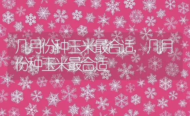 几月份种玉米最合适,几月份种玉米最合适 | 养殖科普