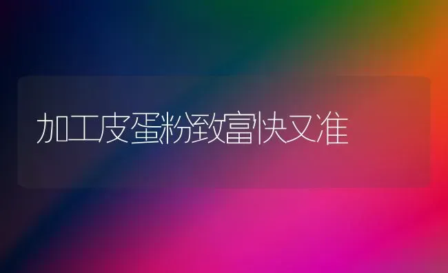 加工皮蛋粉致富快又准 | 养殖技术大全