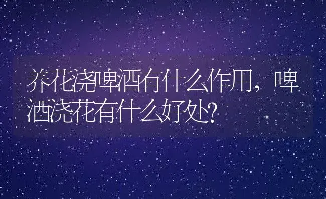养花浇啤酒有什么作用,啤酒浇花有什么好处？ | 养殖科普