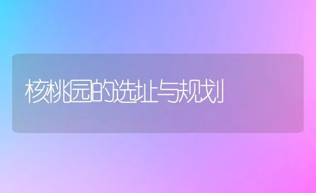 核桃园的选址与规划 | 养殖知识