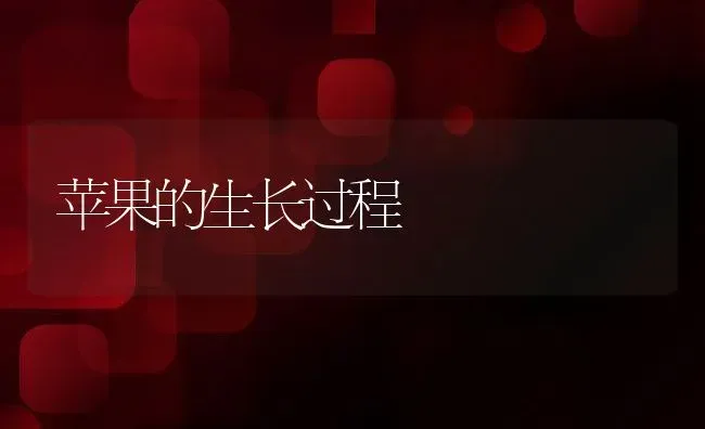 苹果的生长过程 | 养殖学堂