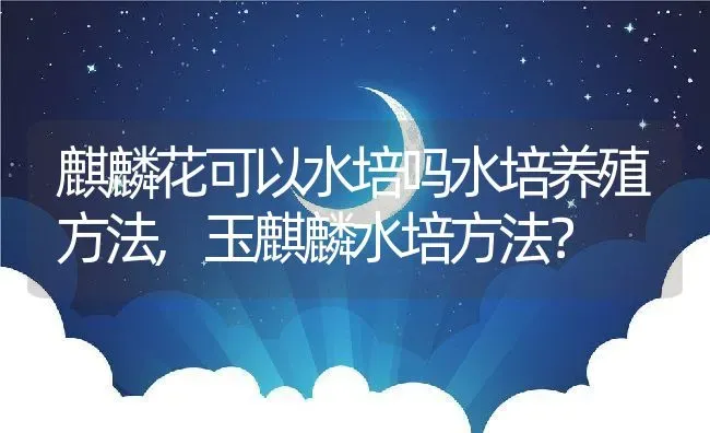 麒麟花可以水培吗水培养殖方法,玉麒麟水培方法？ | 养殖学堂