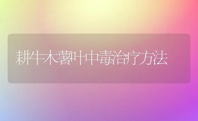 耕牛木薯叶中毒治疗方法 | 养殖知识