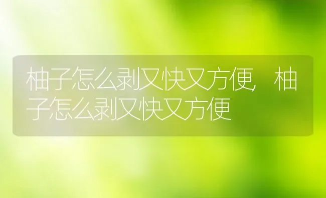 柚子怎么剥又快又方便,柚子怎么剥又快又方便 | 养殖科普