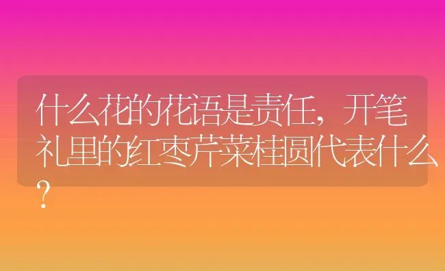 熊童子怎么枝插,冰梅多肉断枝怎样栽种？ | 养殖科普
