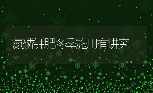 氮磷钾肥冬季施用有讲究 | 养殖技术大全