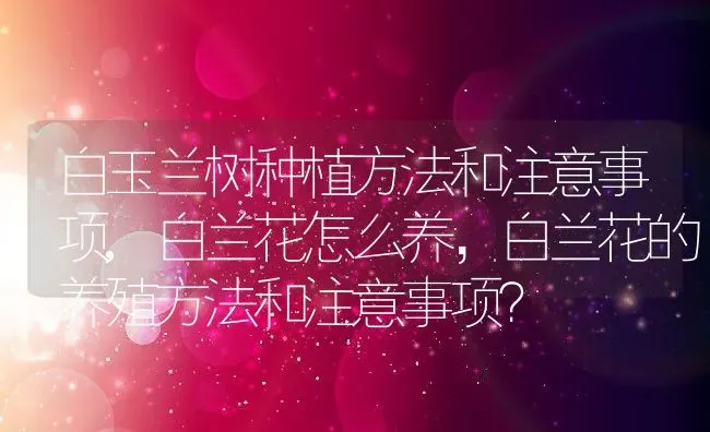 白玉兰树种植方法和注意事项,白兰花怎么养，白兰花的养殖方法和注意事项？ | 养殖科普