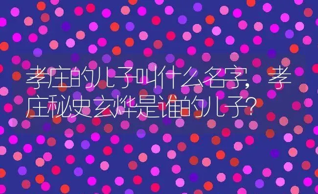 孝庄的儿子叫什么名字,孝庄秘史玄烨是谁的儿子？ | 养殖科普