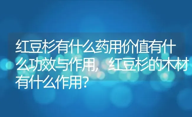 红豆杉有什么药用价值有什么功效与作用,红豆杉的木材有什么作用？ | 养殖科普