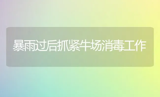 暴雨过后抓紧牛场消毒工作 | 养殖技术大全