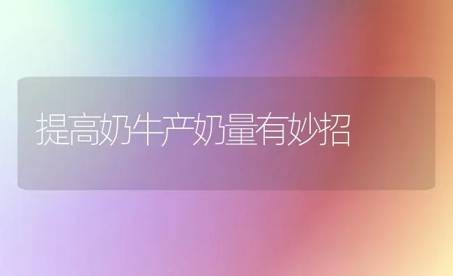 提高奶牛产奶量有妙招 | 养殖技术大全