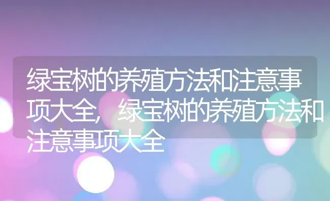 柿子树如何修剪,柿子树如何修剪 | 养殖科普