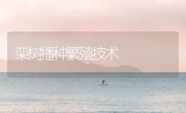 栾树播种繁殖技术 | 养殖技术大全