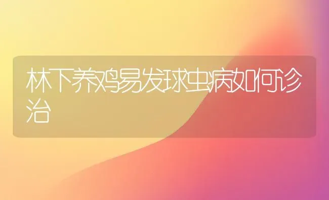 四季薹韭的无公害栽培技术 | 养殖技术大全