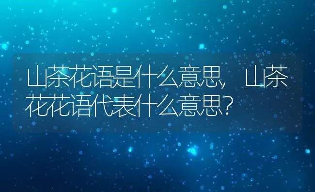 山茶花语是什么意思,山茶花花语代表什么意思？ | 养殖科普