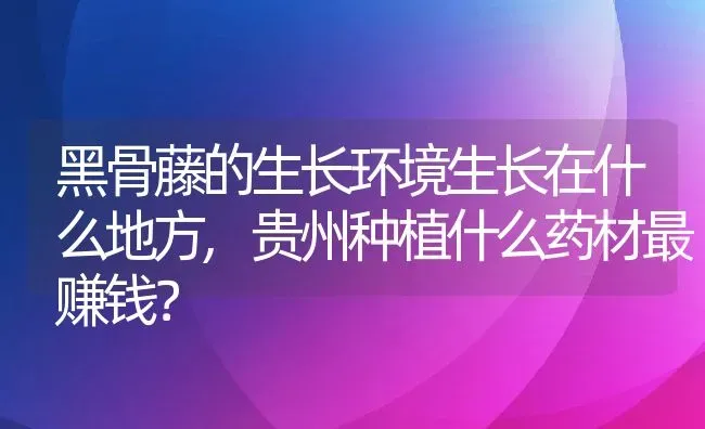 黑骨藤的生长环境生长在什么地方,贵州种植什么药材最赚钱？ | 养殖科普