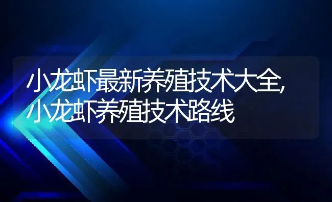 小龙虾最新养殖技术大全,小龙虾养殖技术路线 | 养殖学堂