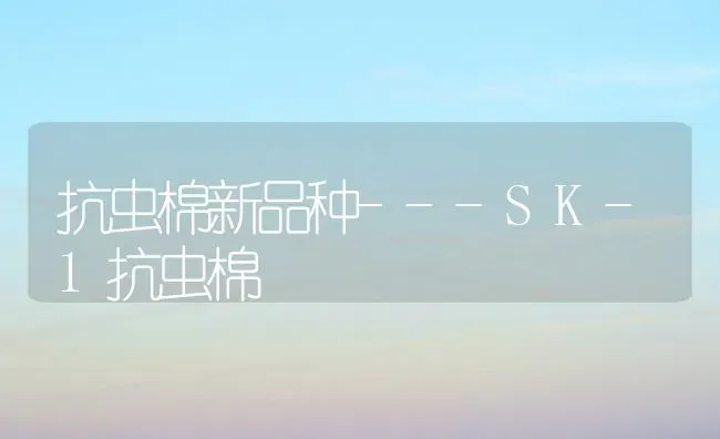 抗虫棉新品种---SK-1抗虫棉 | 养殖技术大全