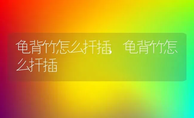龟背竹怎么扦插,龟背竹怎么扦插 | 养殖科普