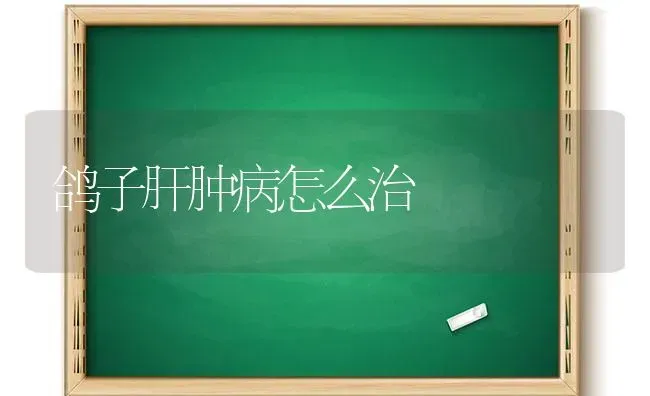 鸽子肝肿病怎么治 | 养殖知识