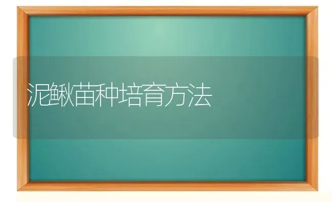 泥鳅苗种培育方法 | 养殖技术大全