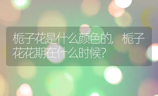 栀子花是什么颜色的,栀子花花期在什么时候？ | 养殖科普