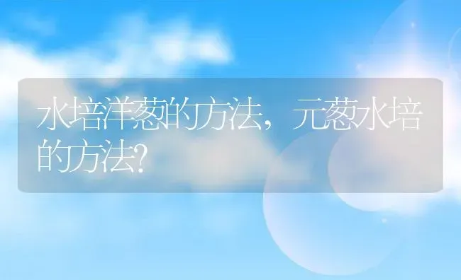 水培洋葱的方法,元葱水培的方法？ | 养殖科普