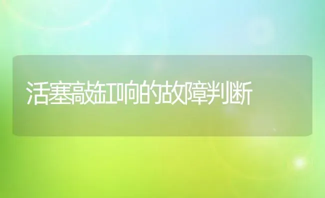 活塞敲缸响的故障判断 | 养殖知识