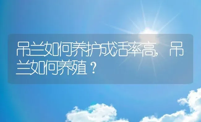 吊兰如何养护成活率高,吊兰如何养殖？ | 养殖科普