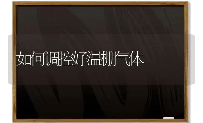 如何调控好温棚气体 | 养殖技术大全