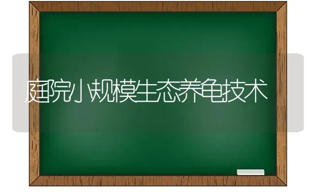 庭院小规模生态养龟技术 | 养殖技术大全