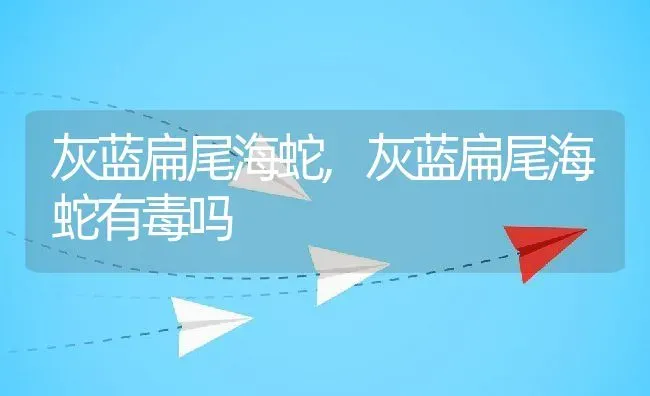 灰蓝扁尾海蛇,灰蓝扁尾海蛇有毒吗 | 养殖科普