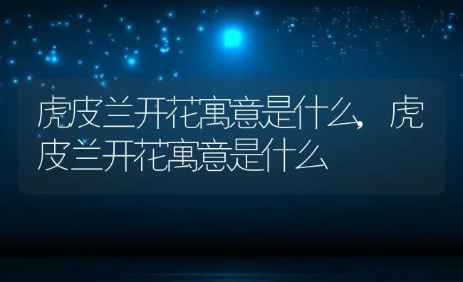 虎皮兰开花寓意是什么,虎皮兰开花寓意是什么 | 养殖科普