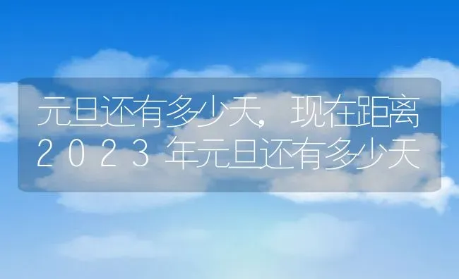 元旦还有多少天,现在距离2023年元旦还有多少天 | 养殖资料