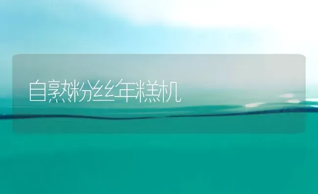 自熟粉丝年糕机 | 养殖技术大全