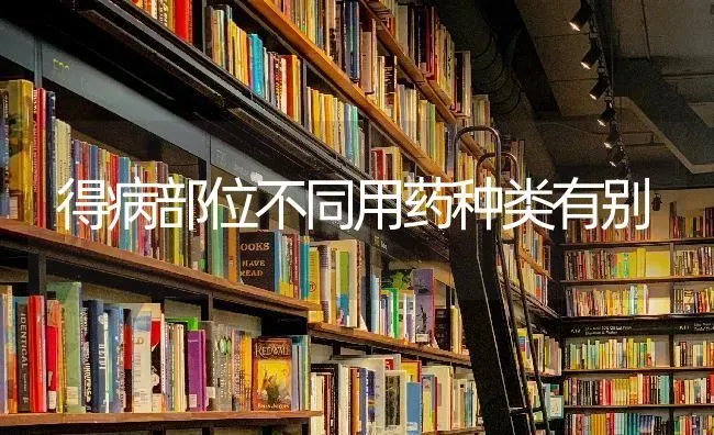 得病部位不同用药种类有别 | 养殖知识