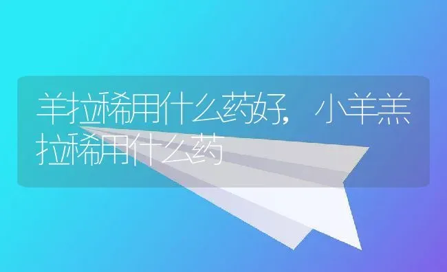 羊拉稀用什么药好,小羊羔拉稀用什么药 | 养殖学堂