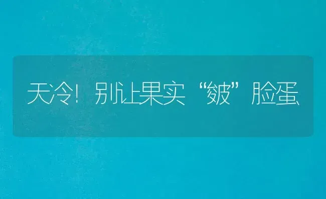 冬春季蒜黄无公害栽培技术 | 养殖技术大全