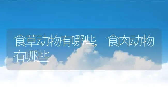 食草动物有哪些,食肉动物有哪些 | 养殖资料