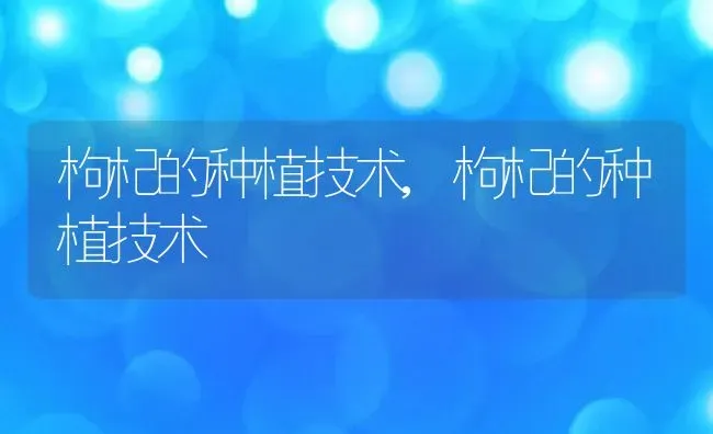 枸杞的种植技术,枸杞的种植技术 | 养殖科普