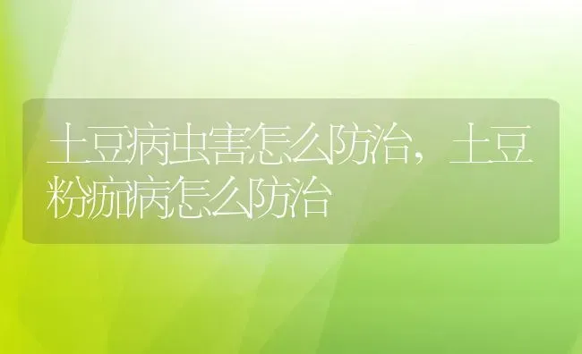 土豆病虫害怎么防治,土豆粉痂病怎么防治 | 养殖学堂